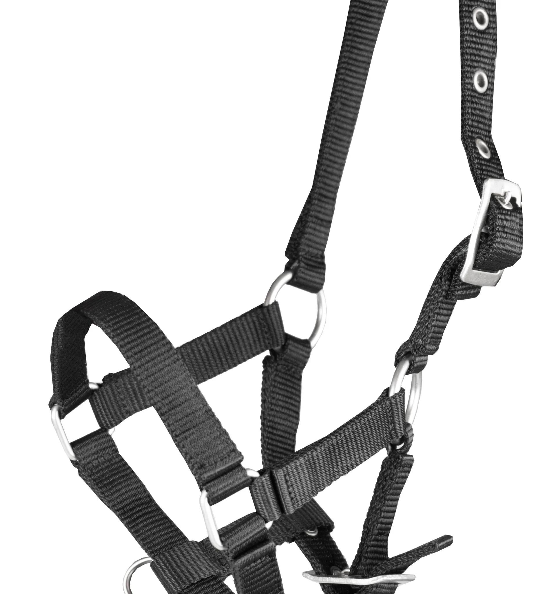 Alternative view of HALSTER BASIC VEULEN