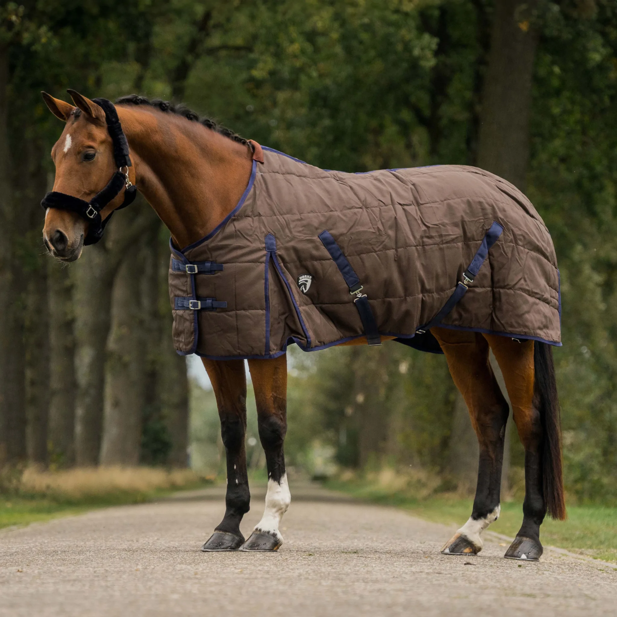 STALDEKEN 1200D - Afbeelding 2