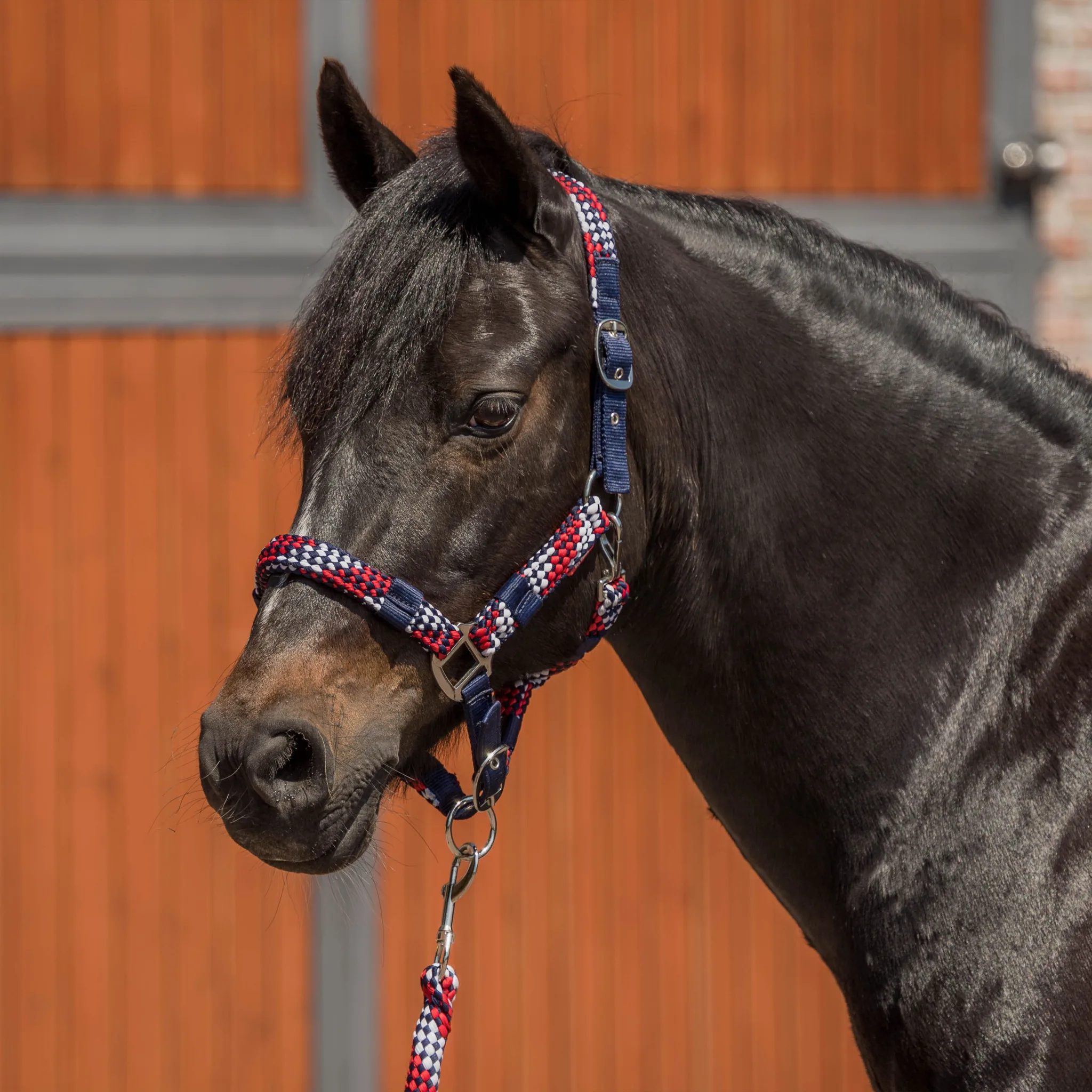RH HALSTER SET - Afbeelding 3