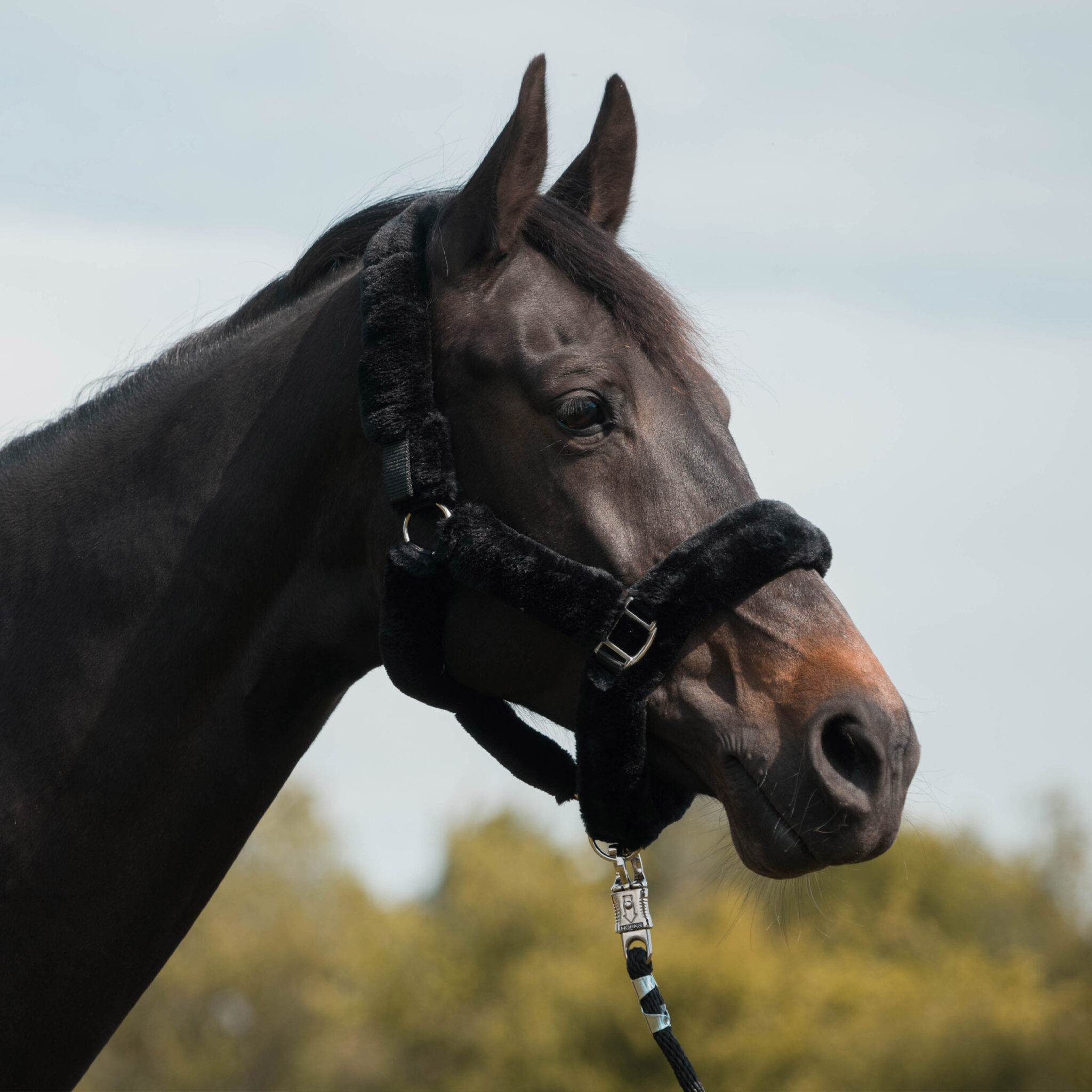 HALSTER MET BONT BESCHERMING - Afbeelding 2