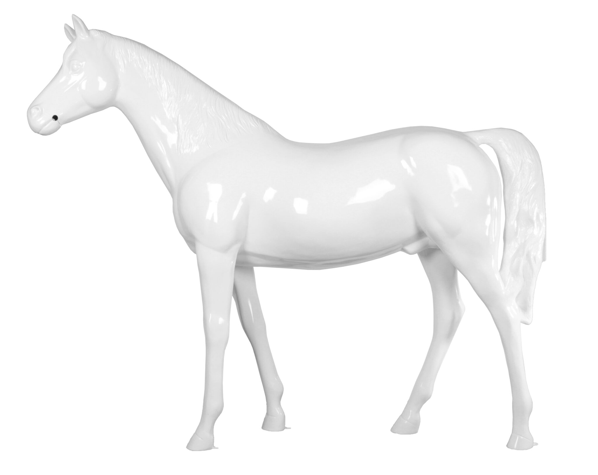 DISPLAY PONY BIG SIZE 146 CM