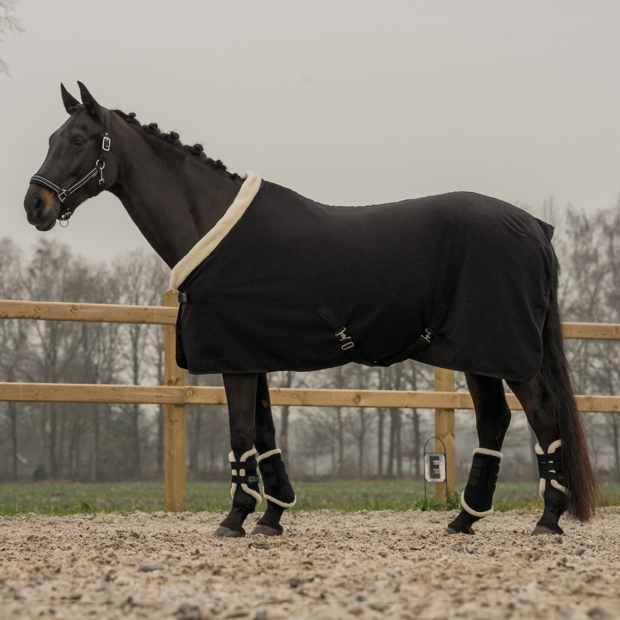 FLEECE DEKEN EQUESTRIAN PRO - Afbeelding 2