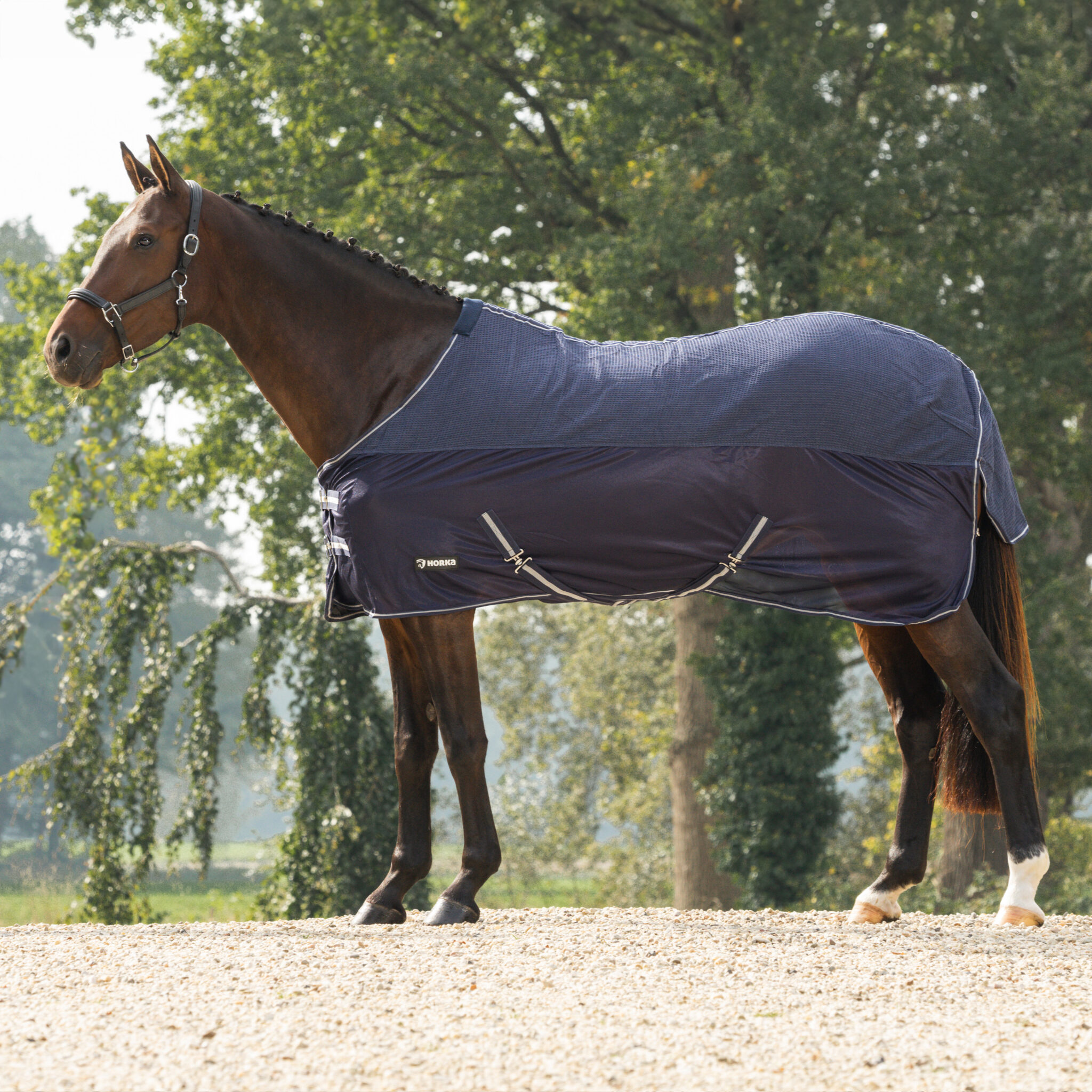COMBI COOLER WAFELKATOEN-MESH - Afbeelding 2