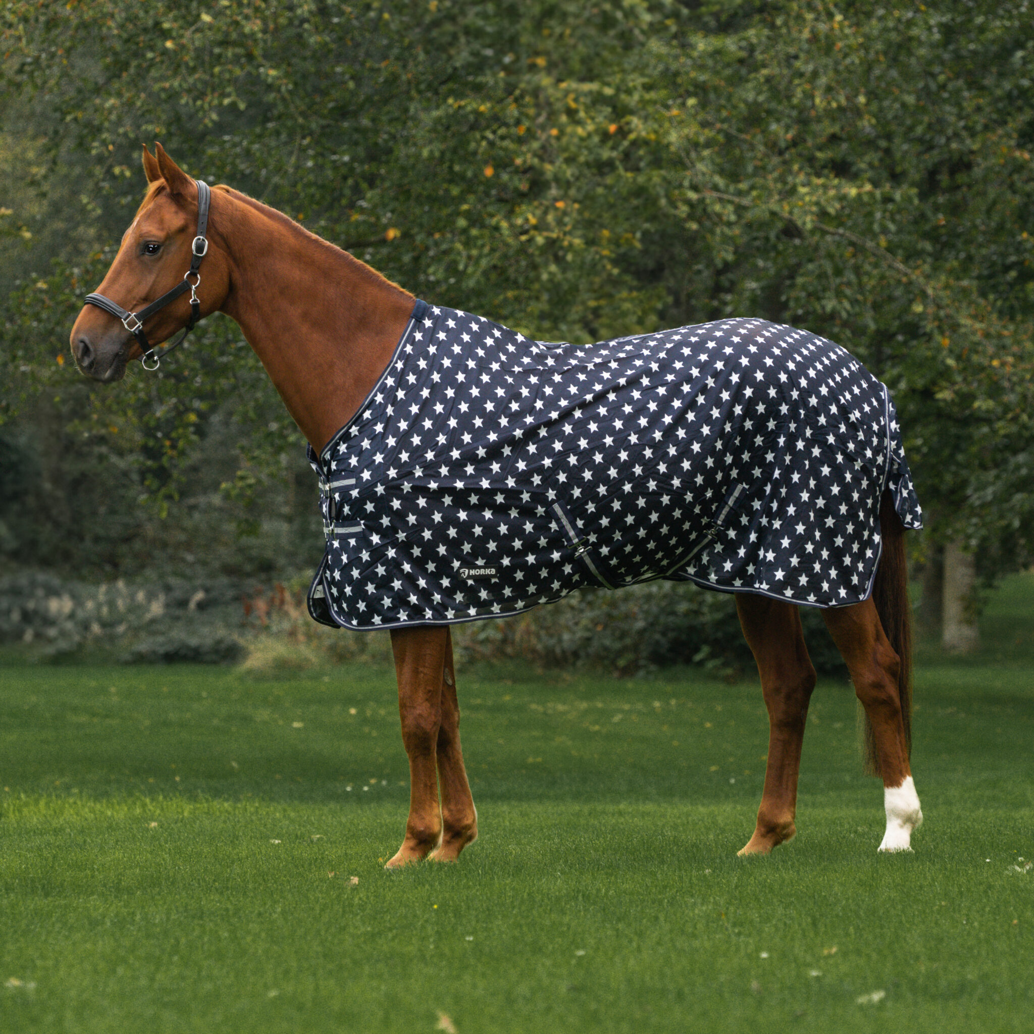 VLIEGENDEKEN MET PRINT - Afbeelding 2