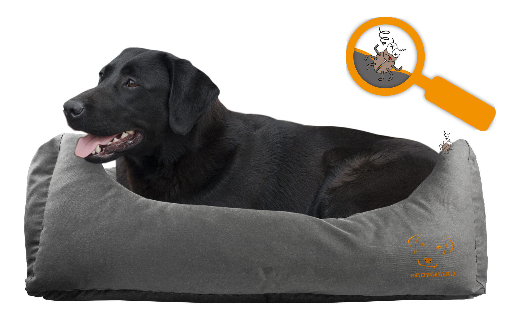 Bodyguard Sofa Bed S Grey