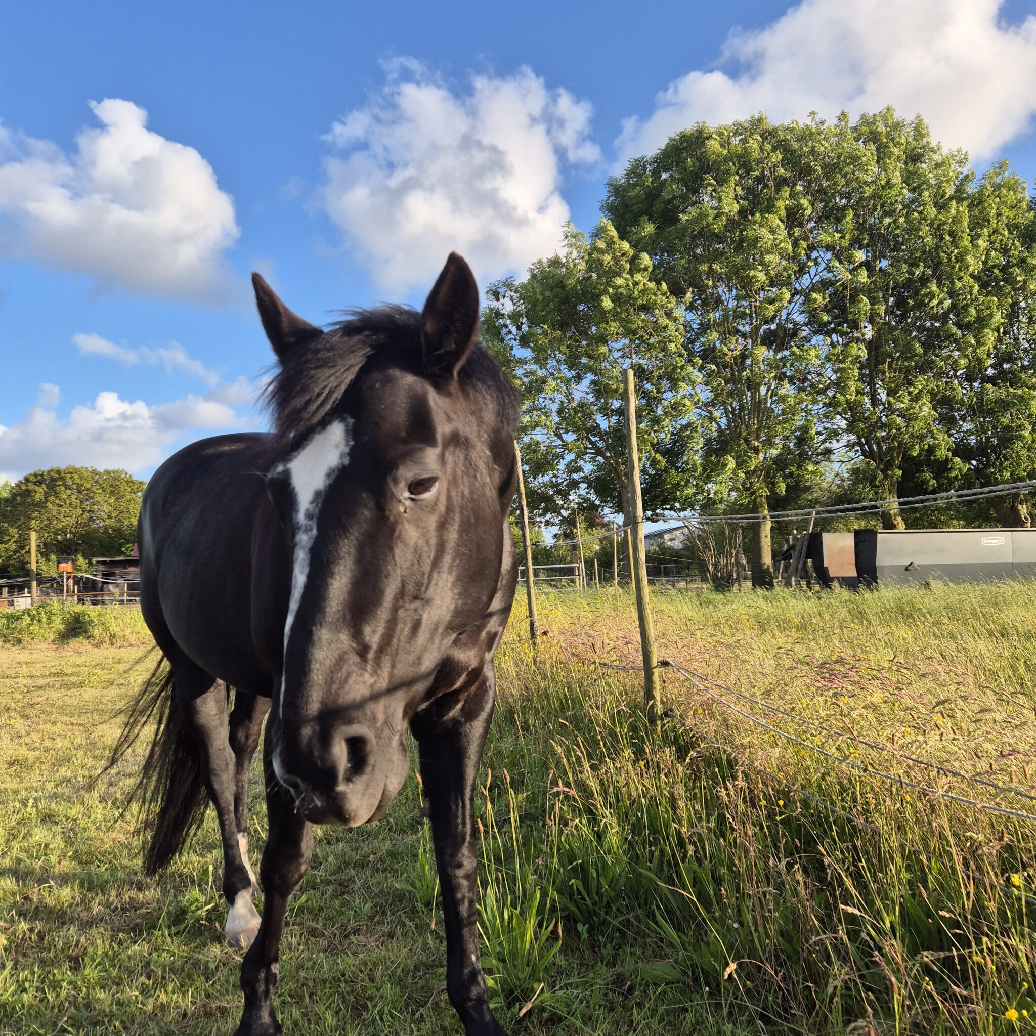 Alternative view of T.P.P.S Zijdeglans Elixir