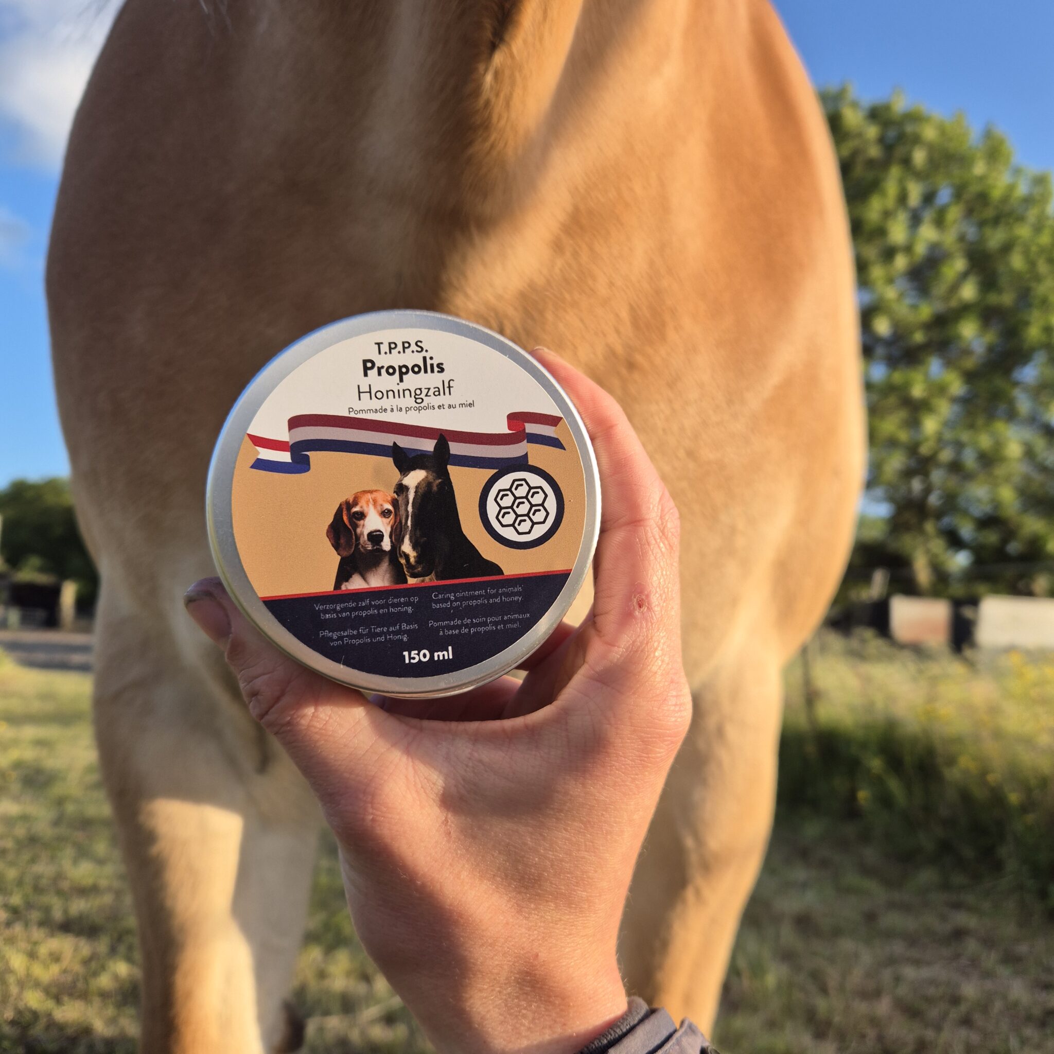 T.P.P.S Propolis Honingzalf