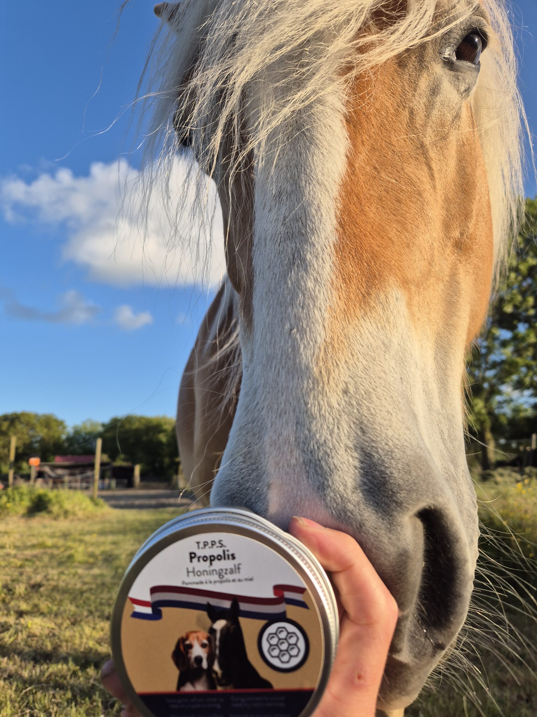 T.P.P.S Propolis Honingzalf - Afbeelding 3
