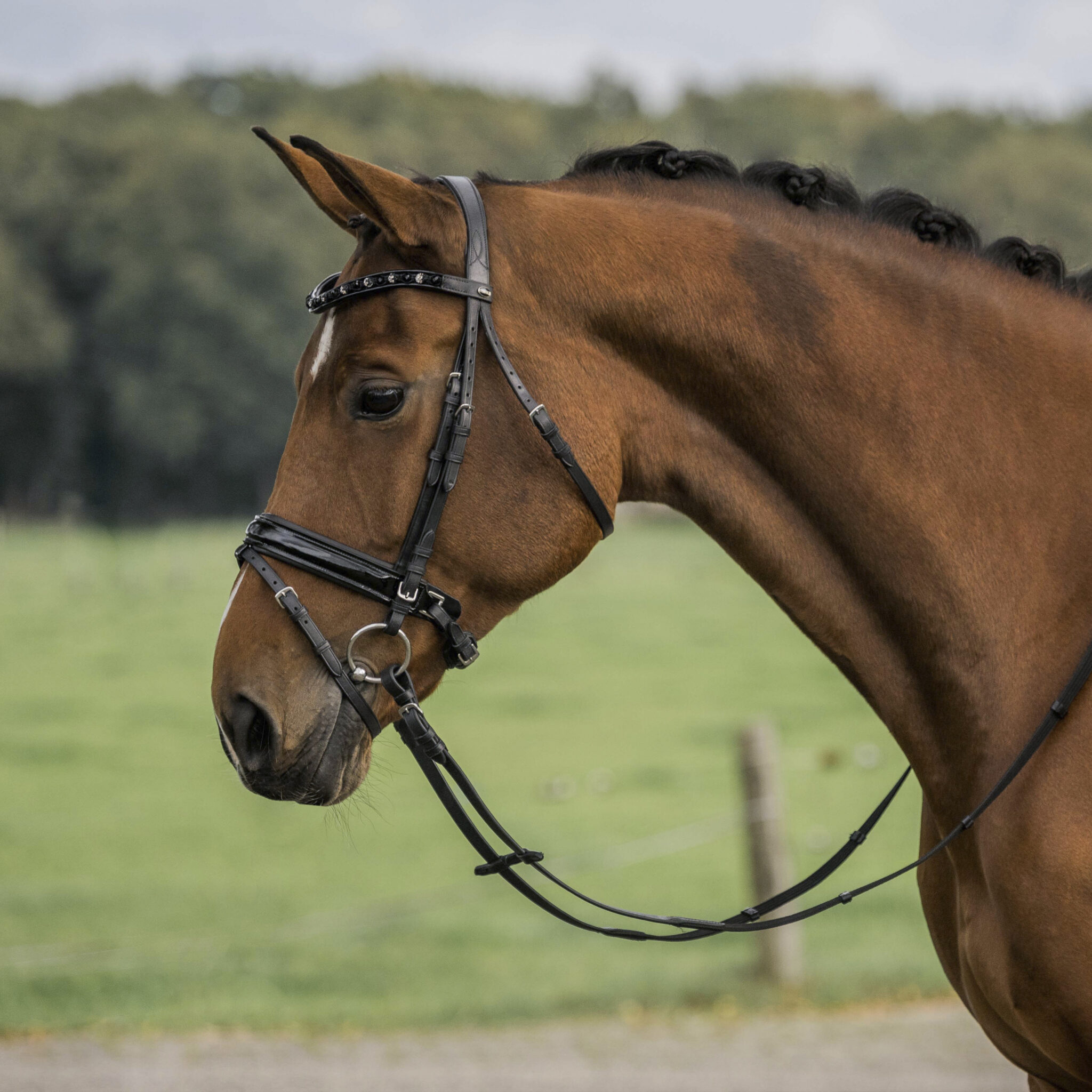 Alternative view of HOOFDSTEL FLAMINGO