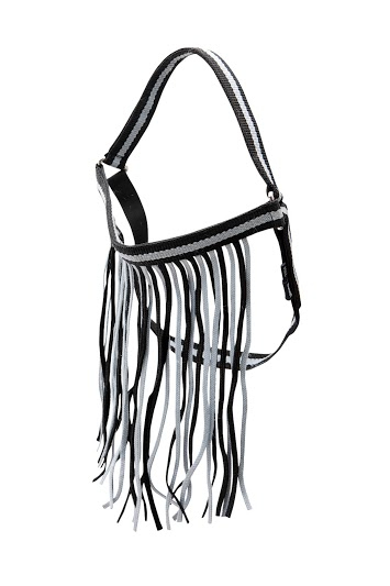 Alternative view of VLIEGENFRONDEEL