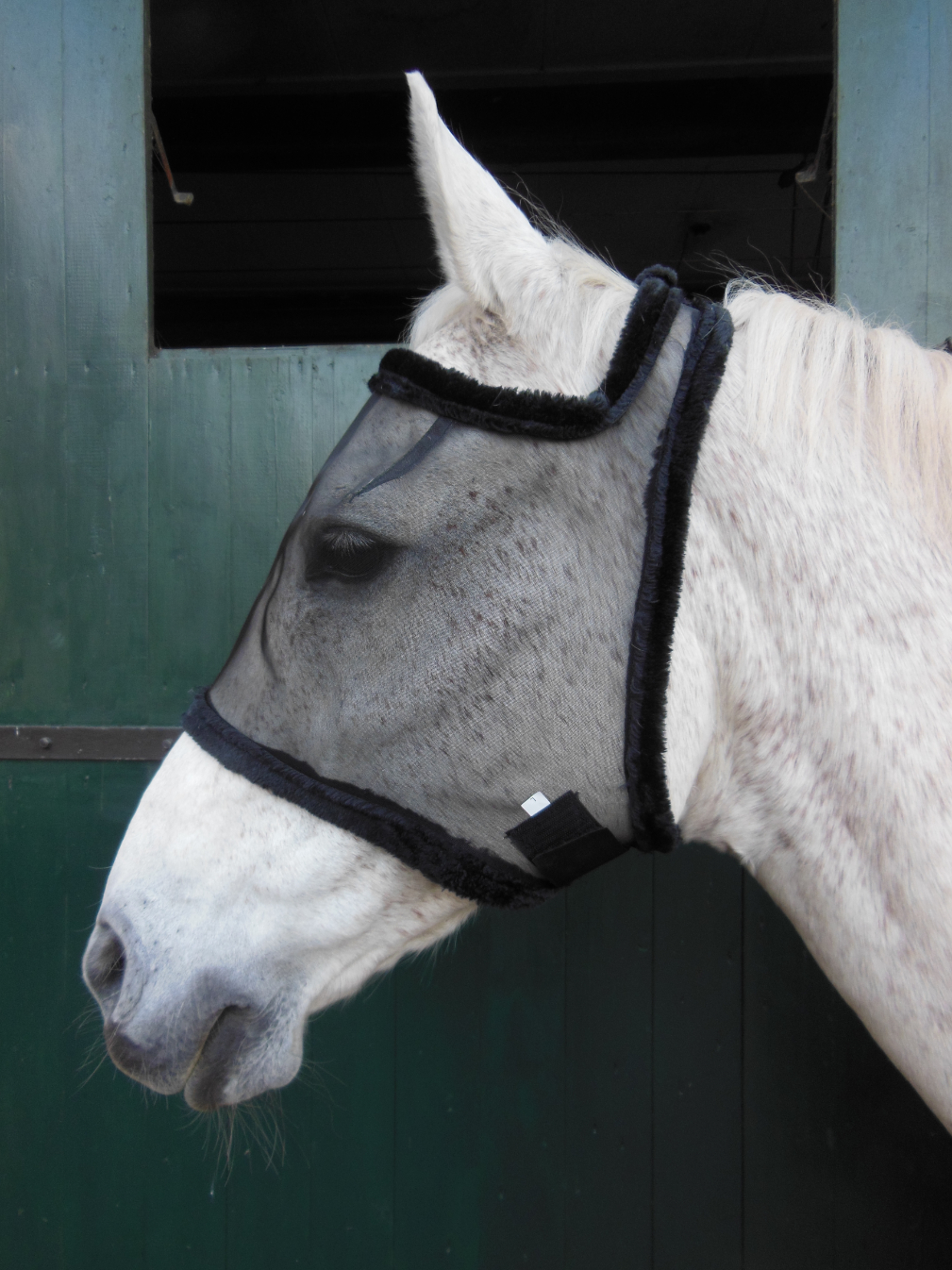 Alternative view of ANTI VLIEGENMASKER MESH