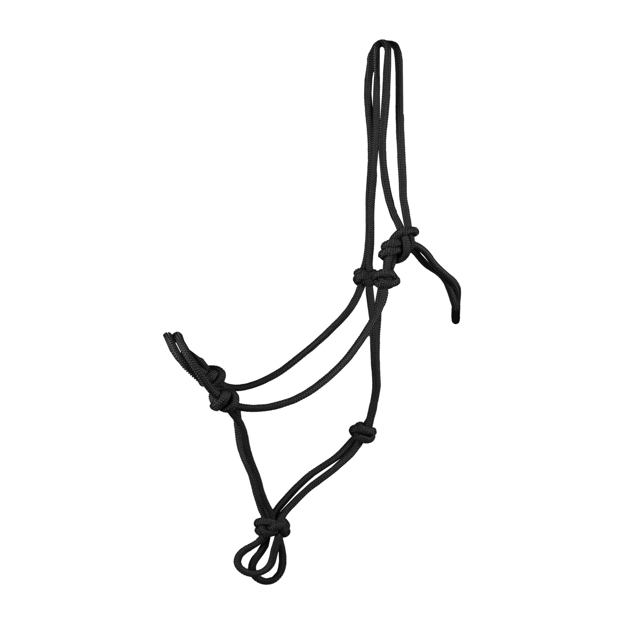 TOUWHALSTER BASIC