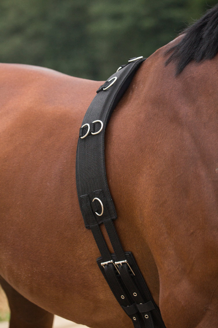 LONGEERSINGEL MET SCHOFTKUSSENS