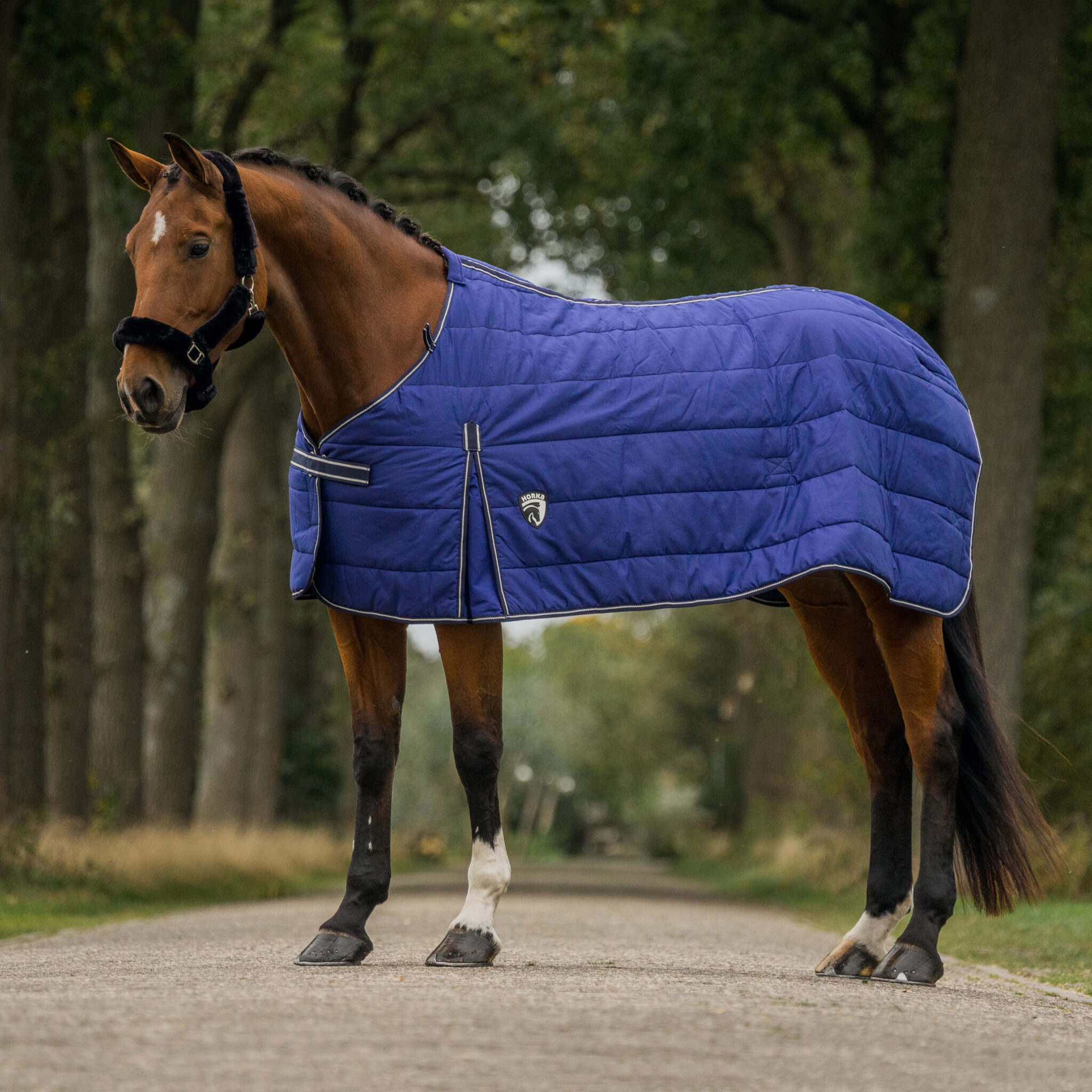 Alternative view of ONDERDEKEN 200 GRAM