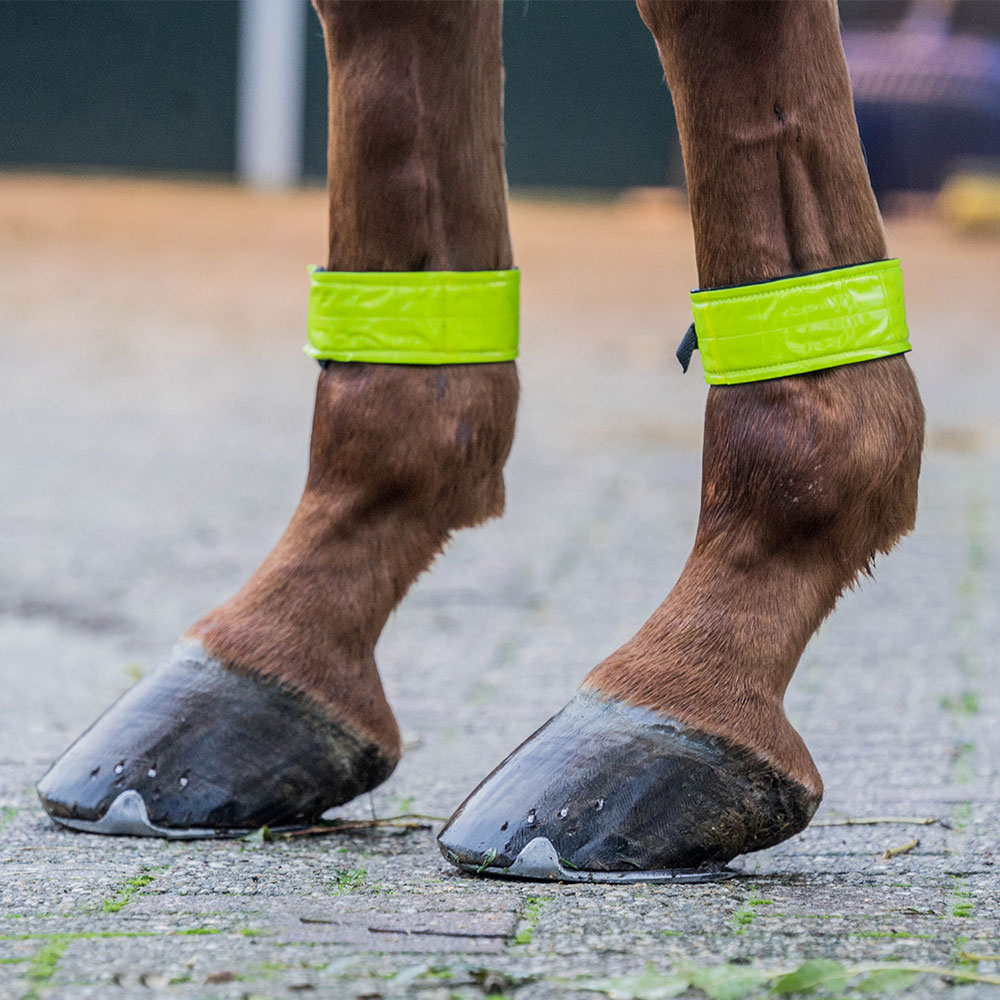 BEEN STRAPS REFLECTEREND PER PAAR