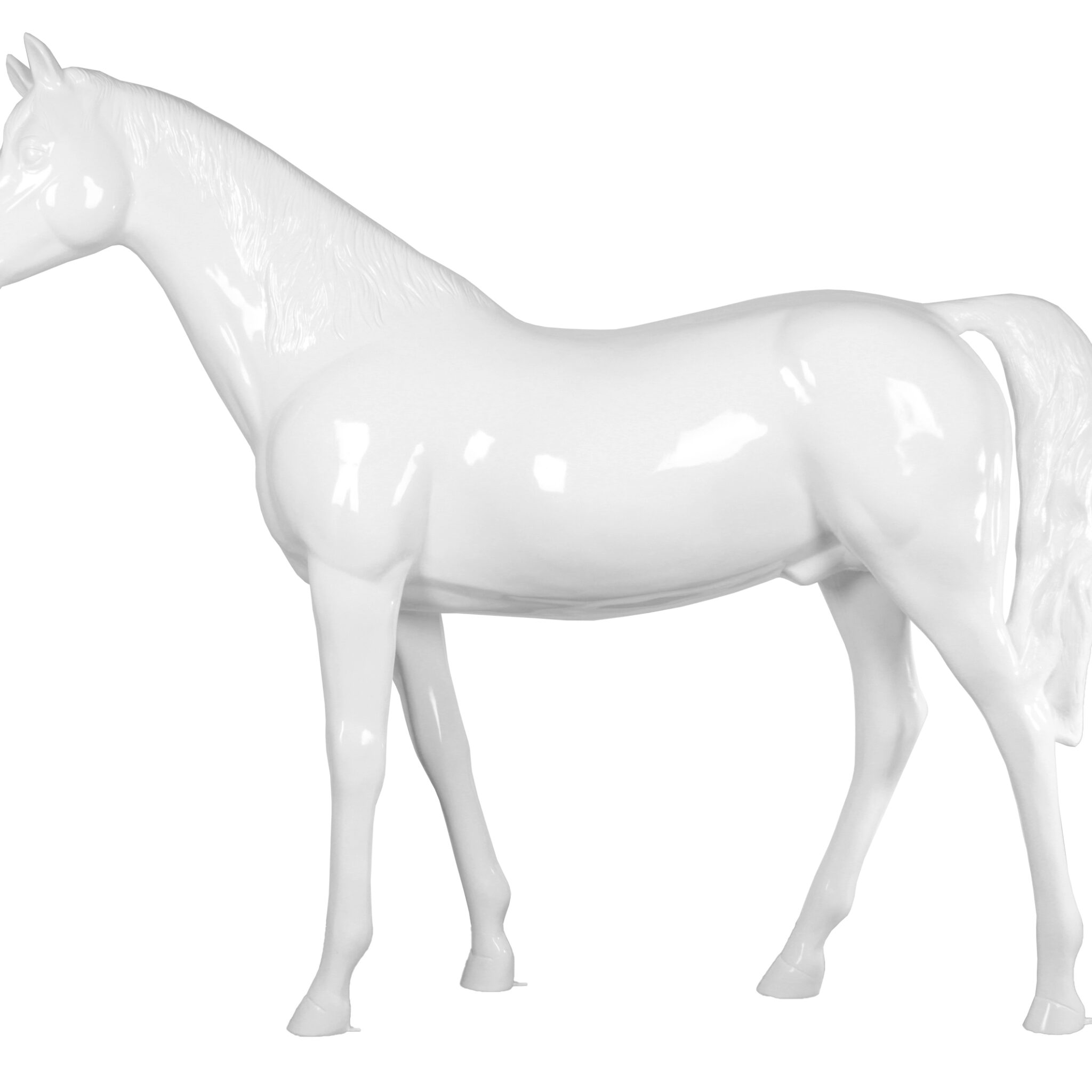 DISPLAY PONY BIG SIZE 146 CM