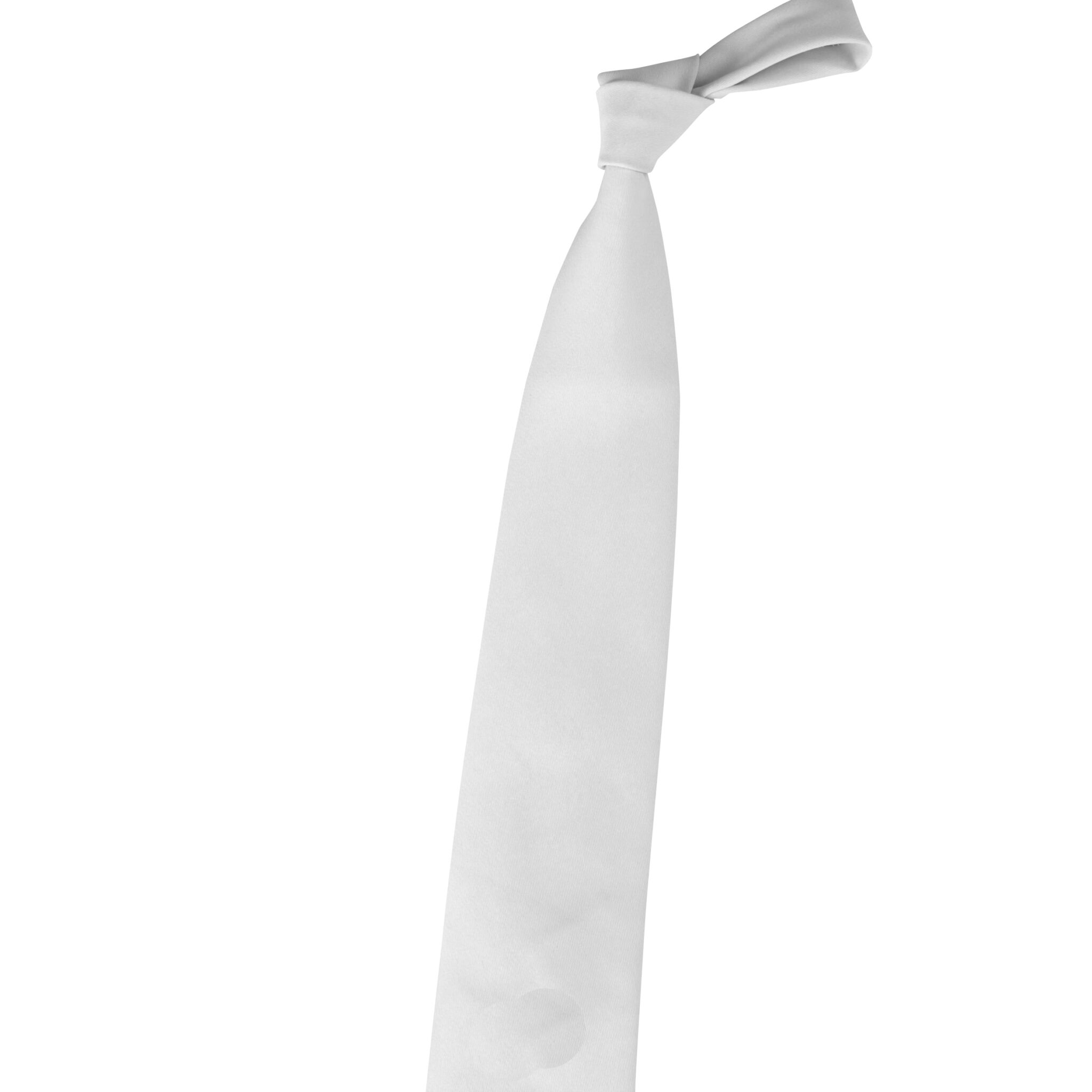 WEDSTRIJD STROPDAS HEREN