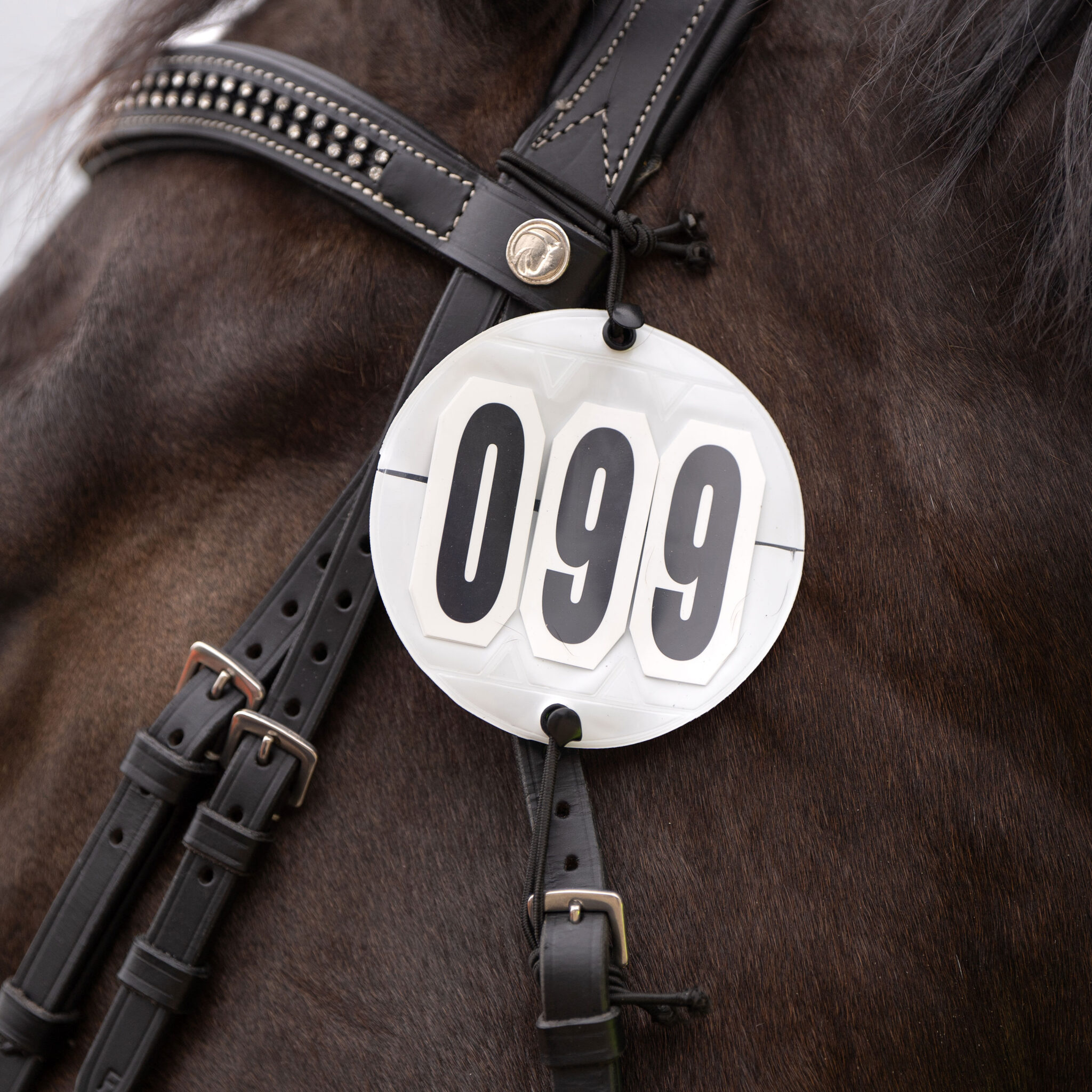 WEDSTRIJDNUMMERS ROND