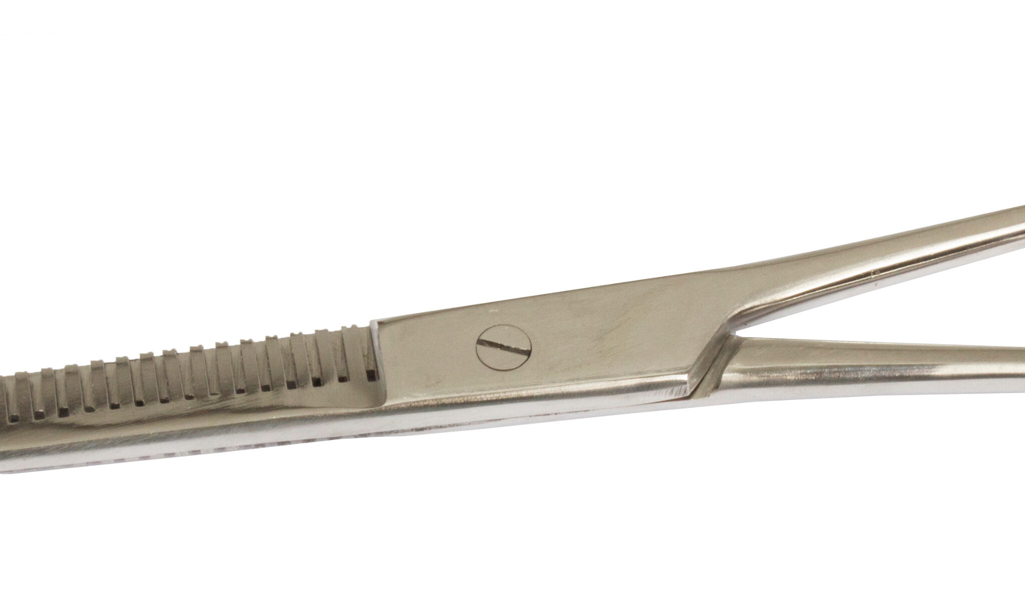 Alternative view of SCHAAR OM UIT TE DUNNEN