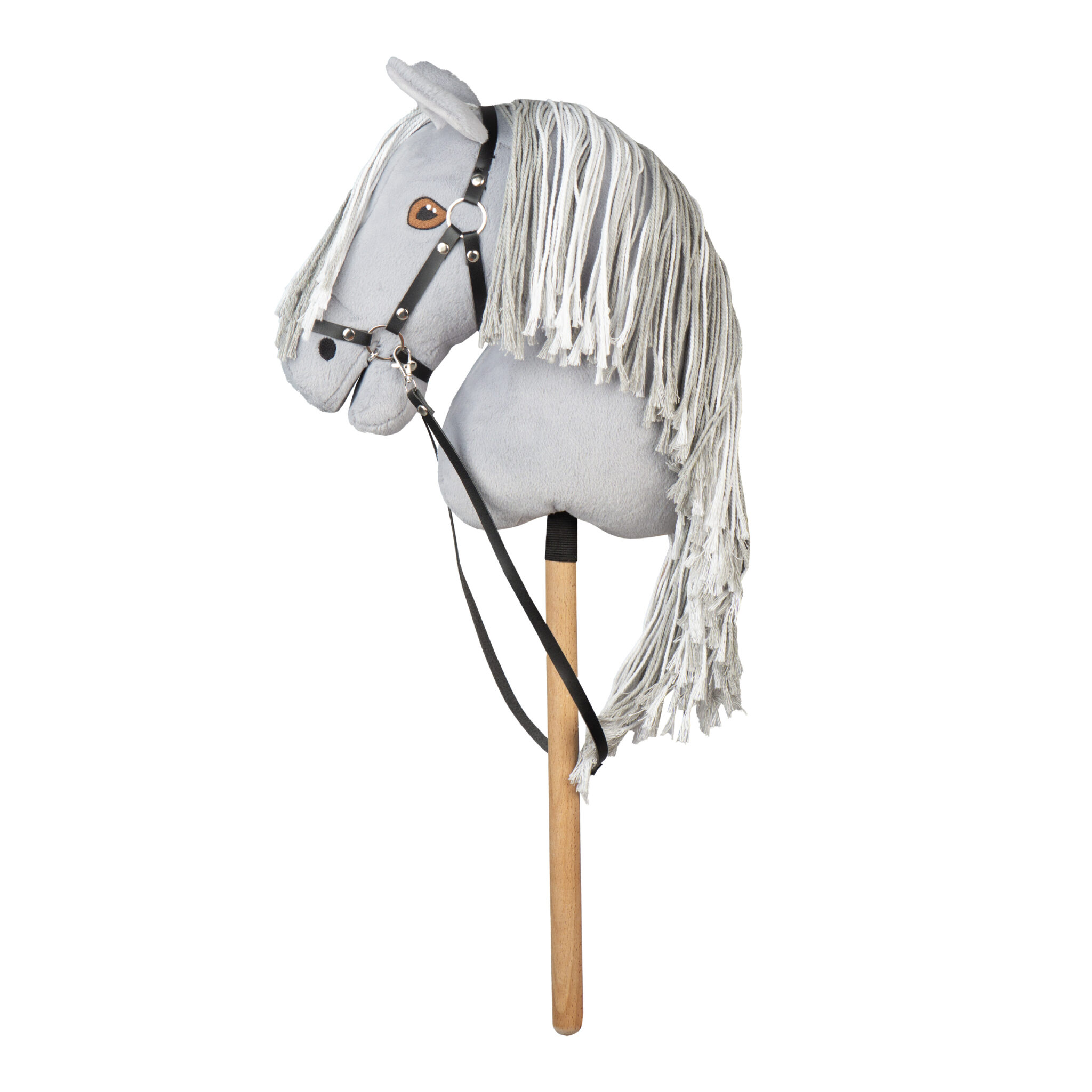 HOBBY HORSE