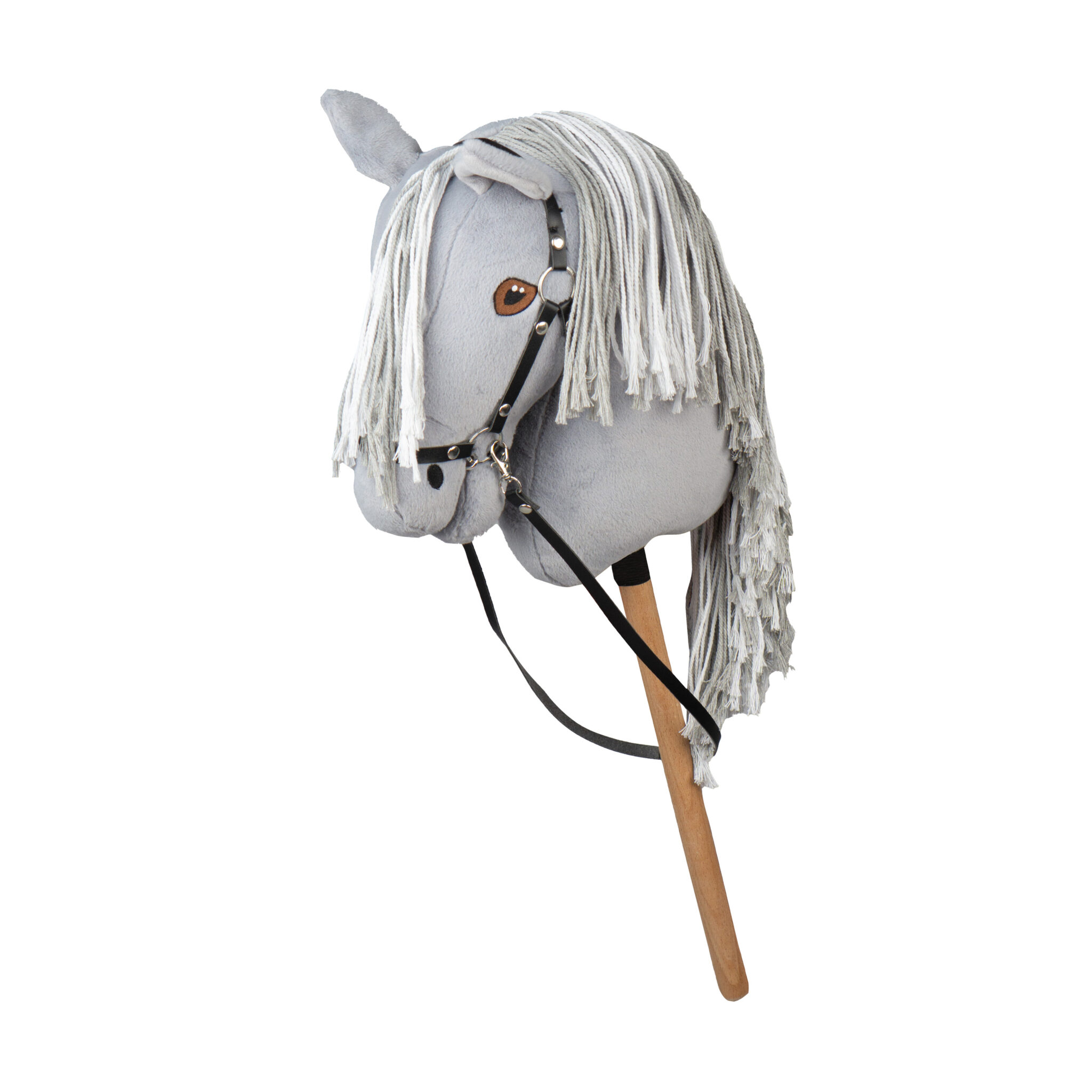 Alternative view of HOBBY HORSE