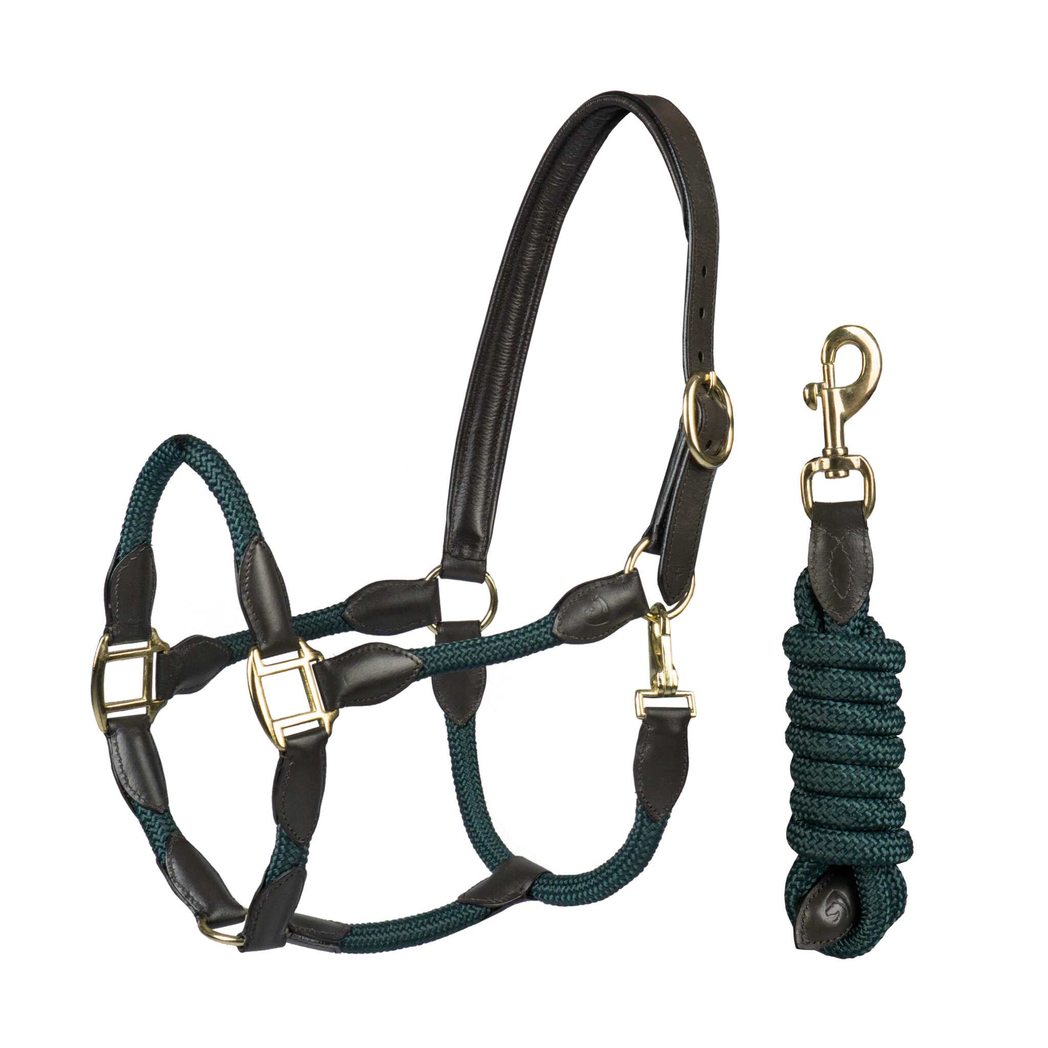 HALSTER SET LEER MET TOUW - Afbeelding 2