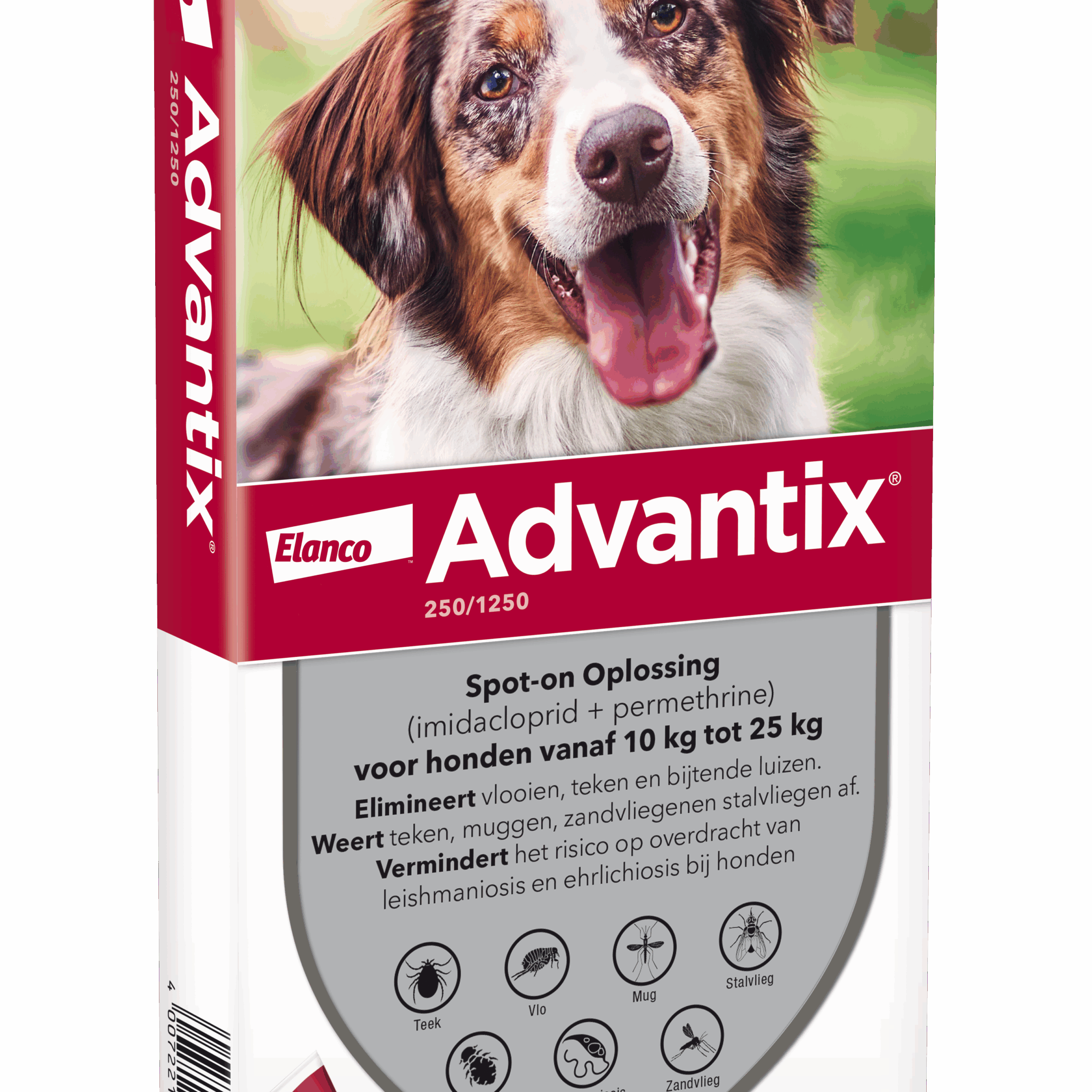 Advantix vlooien- en tekenpipet voor honden 250/1250 (10 tot 25 kg) 6 pipetten