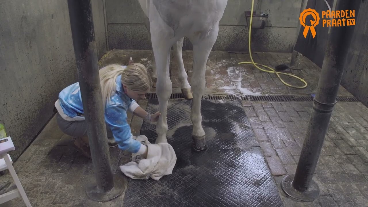 Alternative view of Paardenpraat TV Hoefglansolie