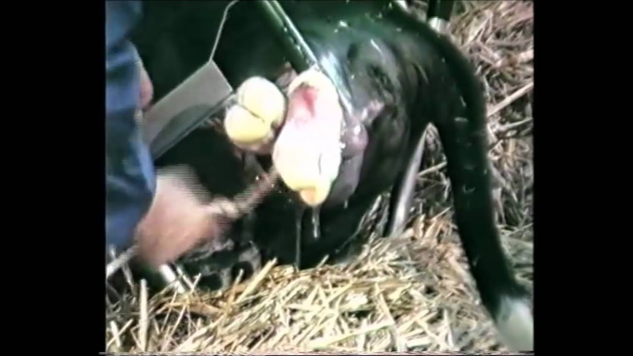 Alternative view of Vink Veeverlosser Bevestiging van Beveiliging