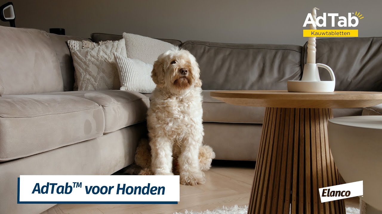Alternative view of Elanco AdTab kauwtabletten hond (>22 - 45 kg)