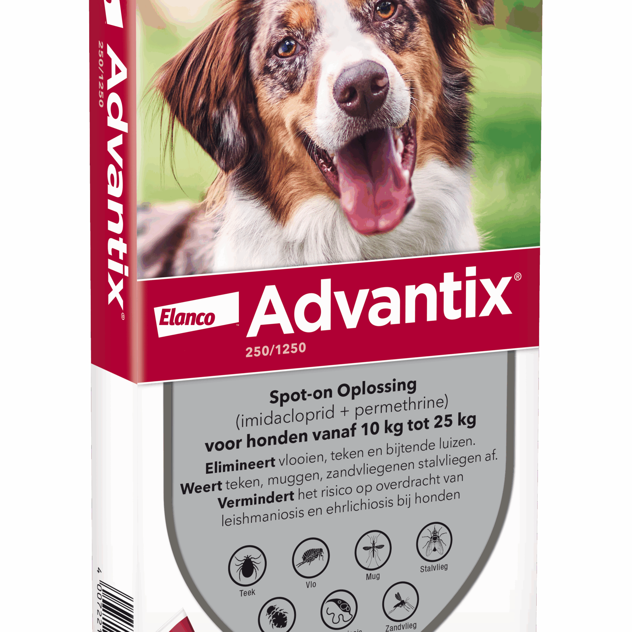 Advantix vlooien- en tekenpipet voor honden 250/1250 (10 tot 25 kg) 4 pipetten