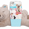 AFP Little Buddy - Warm Bear