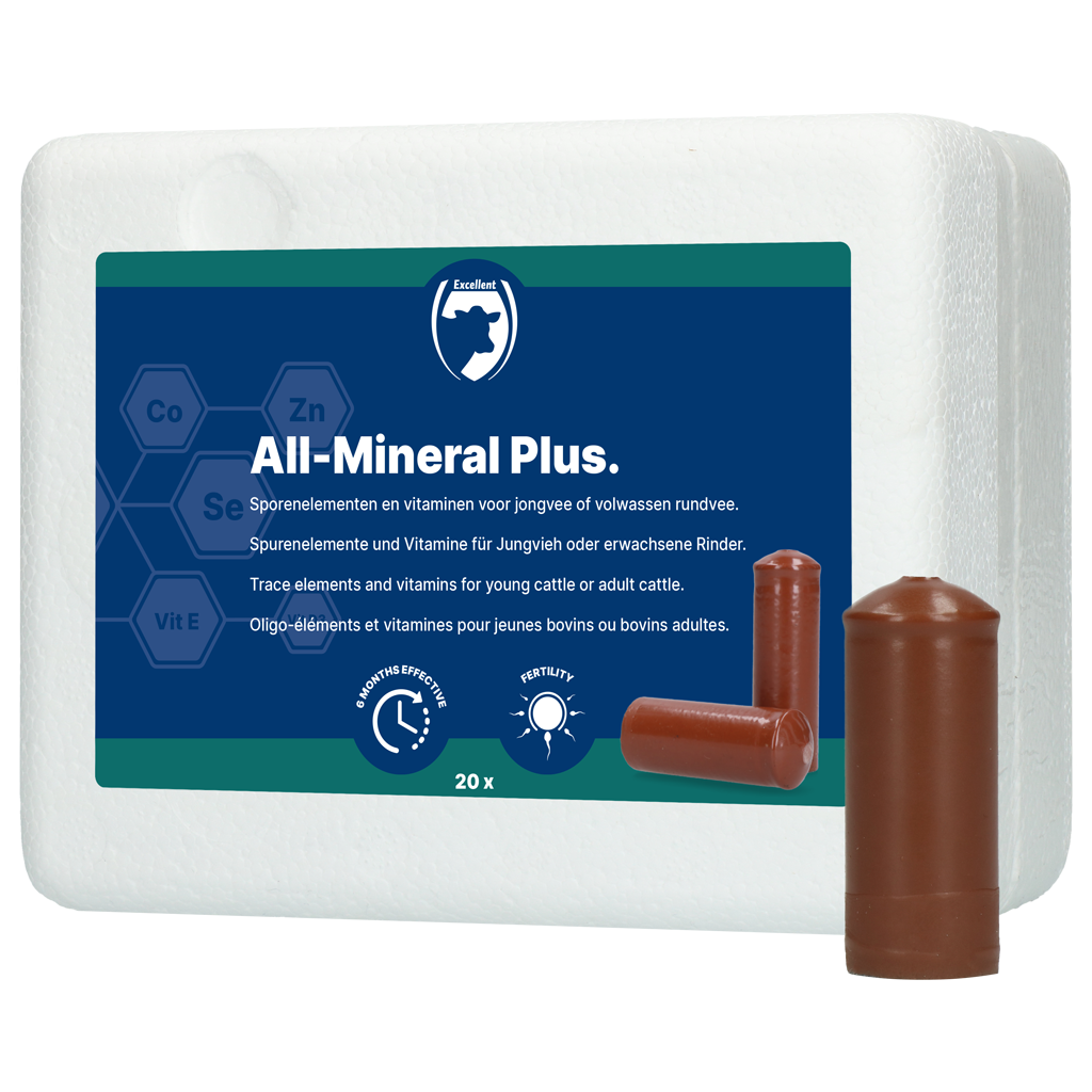 Excellent All-Mineral Plus 20 st
