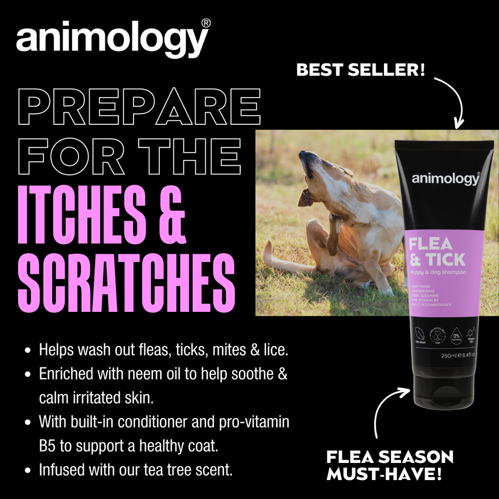 Alternative view of Animology Flea & Tick Dog Shampoo 250 ml