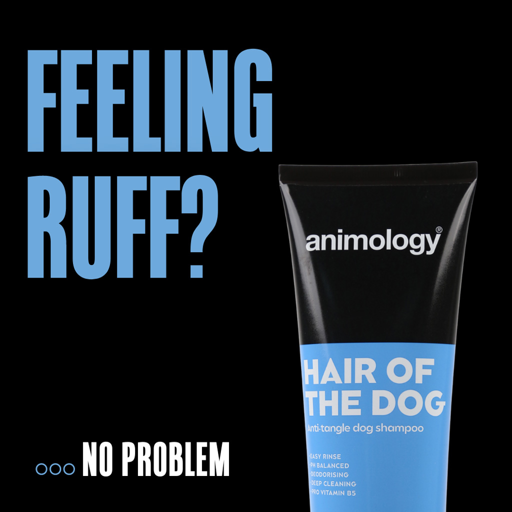 Alternative view of Animology Hair Of The Dog Anti-Tangle Dog Shampoo