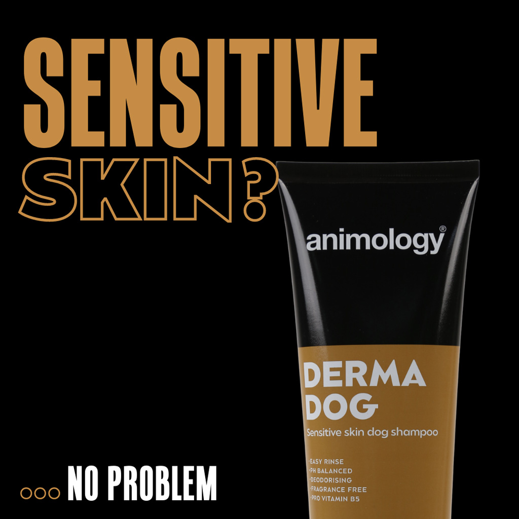 Alternative view of Animology Derma Dog Sensitive Skin Dog Shampoo 250 ml