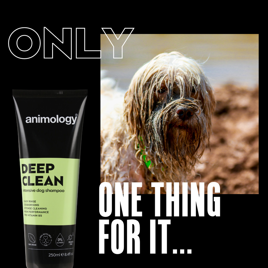 Alternative view of Animology Deep Clean Intensive Dog Shampoo 250 ml