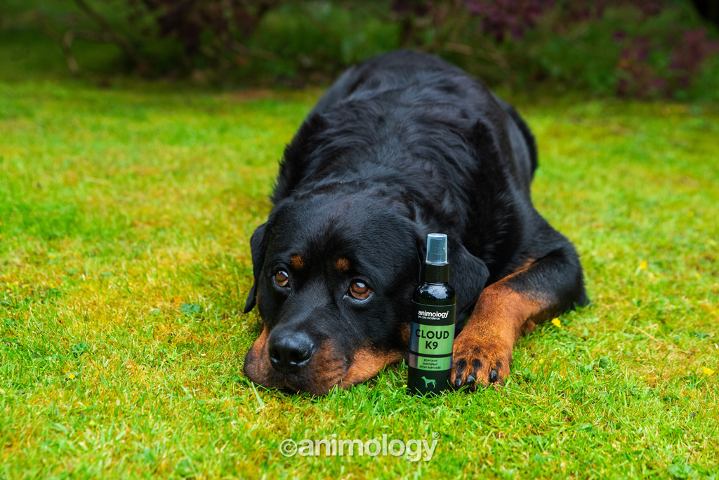 Alternative view of Animology Cloud K9 Body Mist