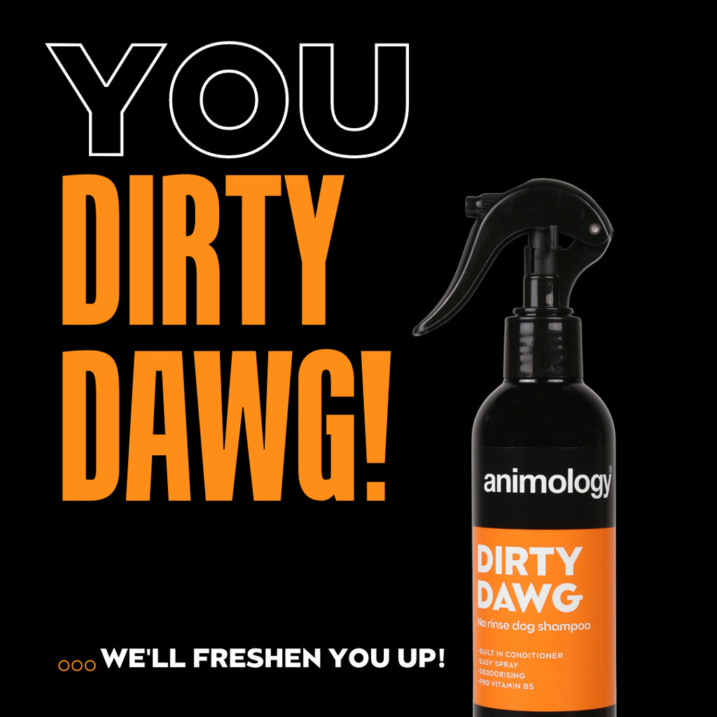 Alternative view of Animology Dirty Dawg No Rinse Dog Shampoo