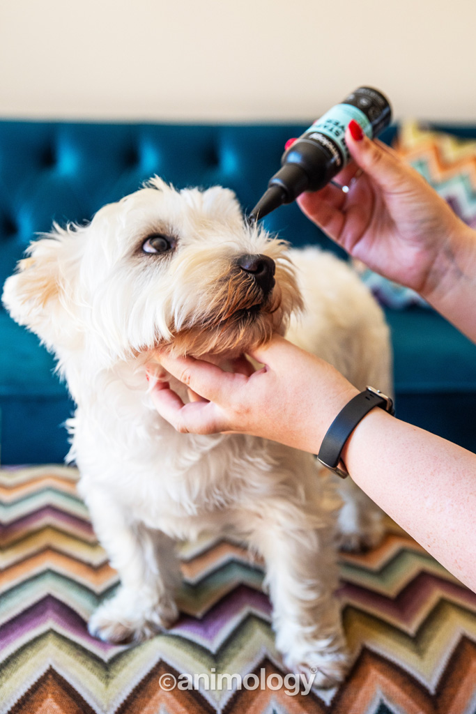 Alternative view of Animology Tear Stain Remover