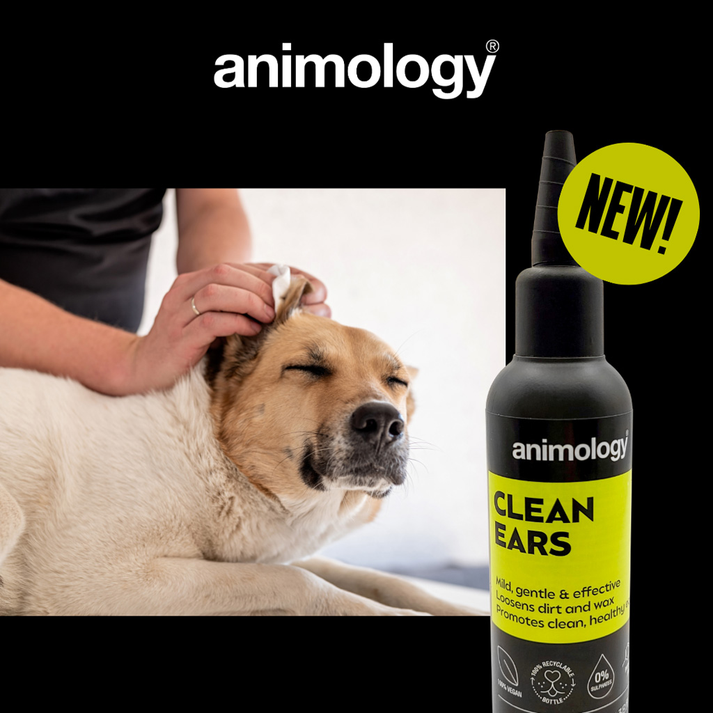 Alternative view of Animology Clean Ears
