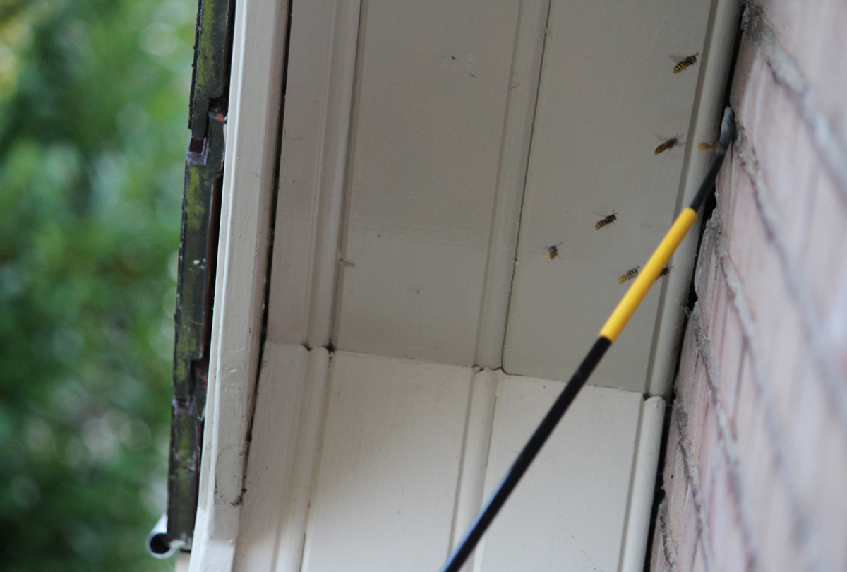 Alternative view of Birchmeier XL8 D Telescooplans 7 m