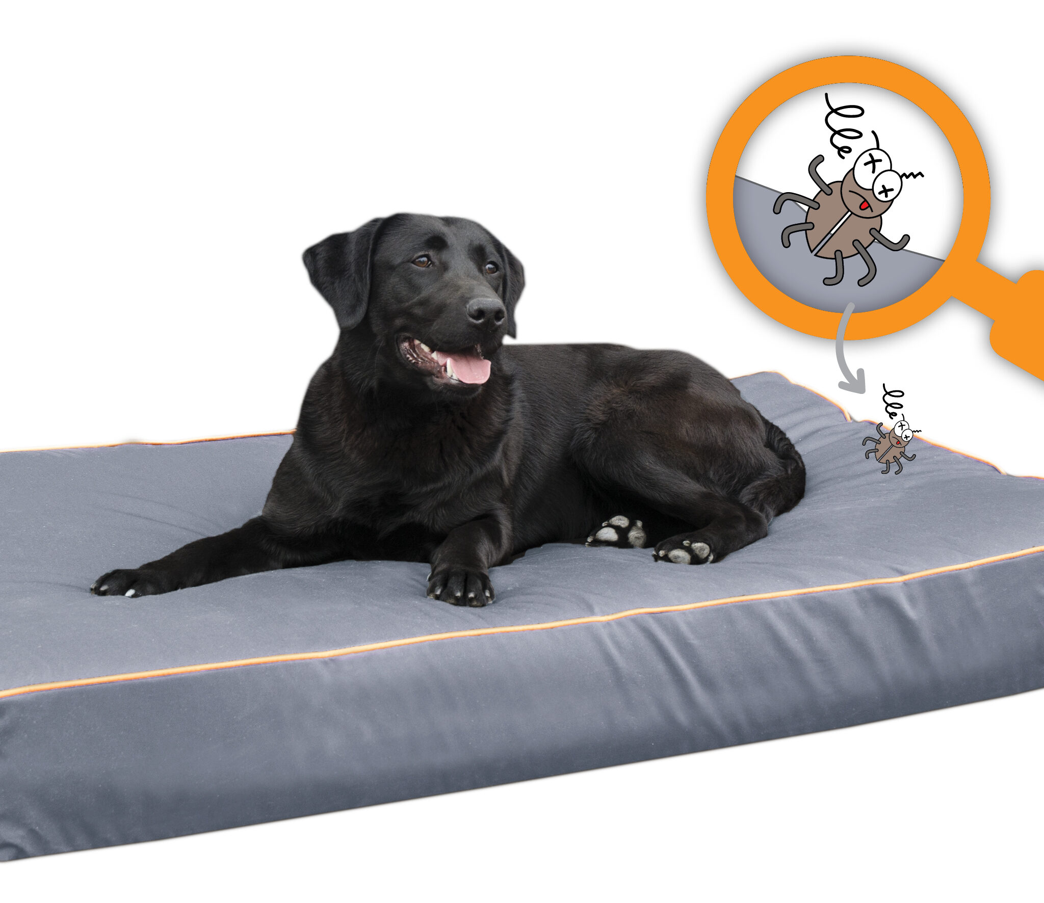 Alternative view of Bodyguard Royal Bed Grijs S