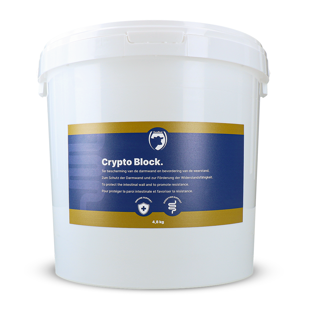 Excellent Crypto Block 4,8 kg