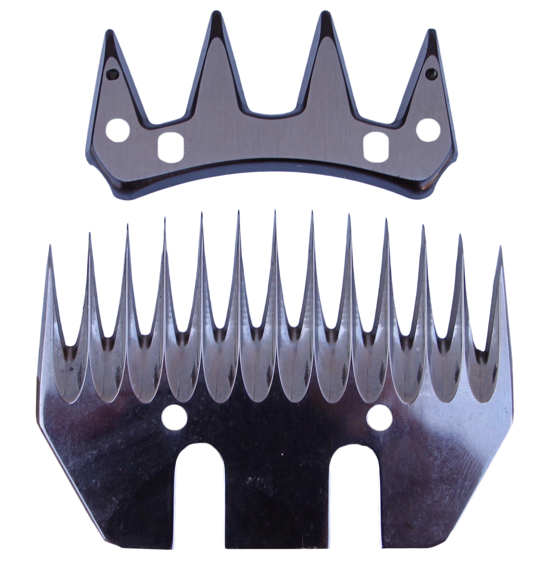 Alternative view of Scheerkop Hond/Paard 1 mm