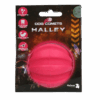 Dog Comets Halley Roze