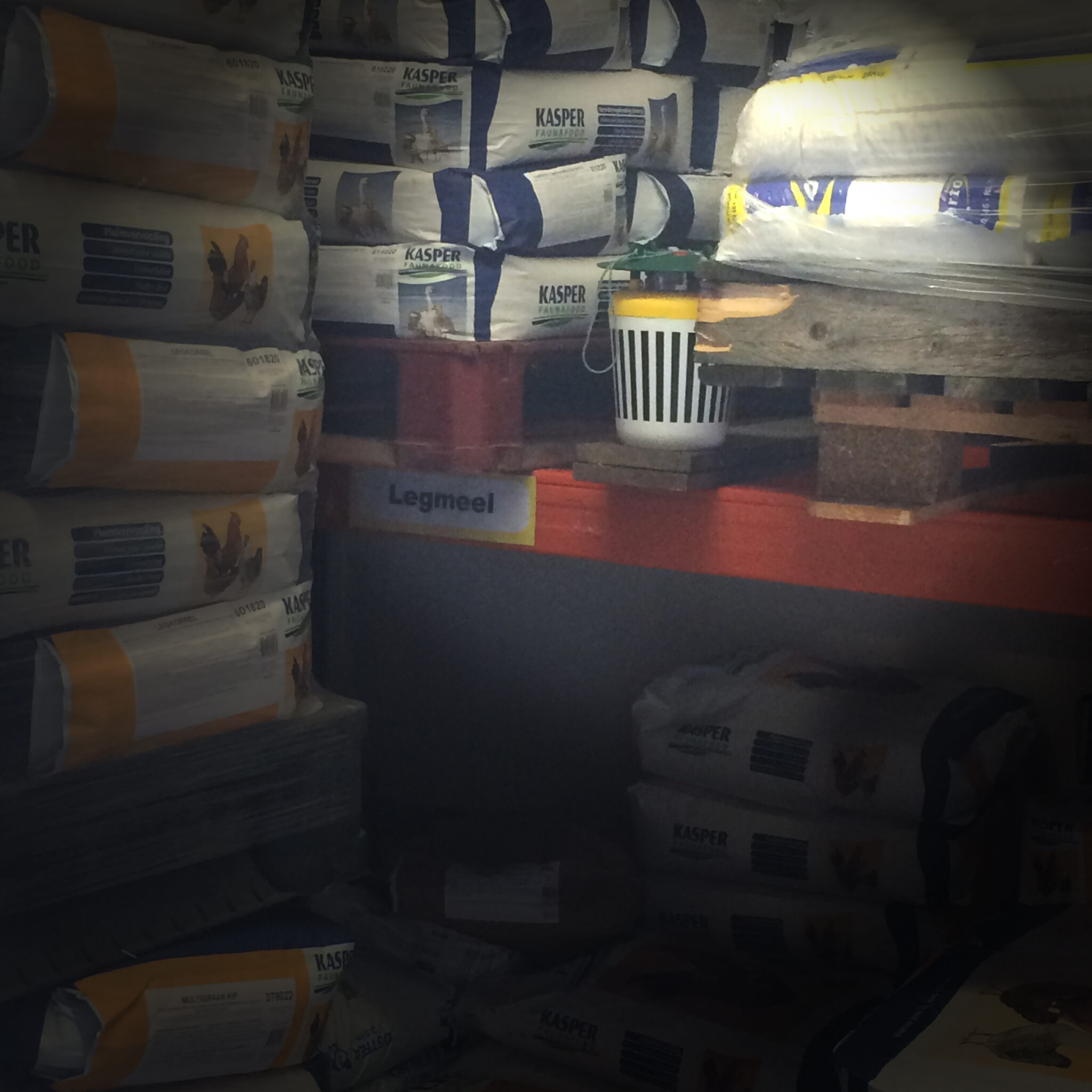 Alternative view of Black Stripe Mottenval