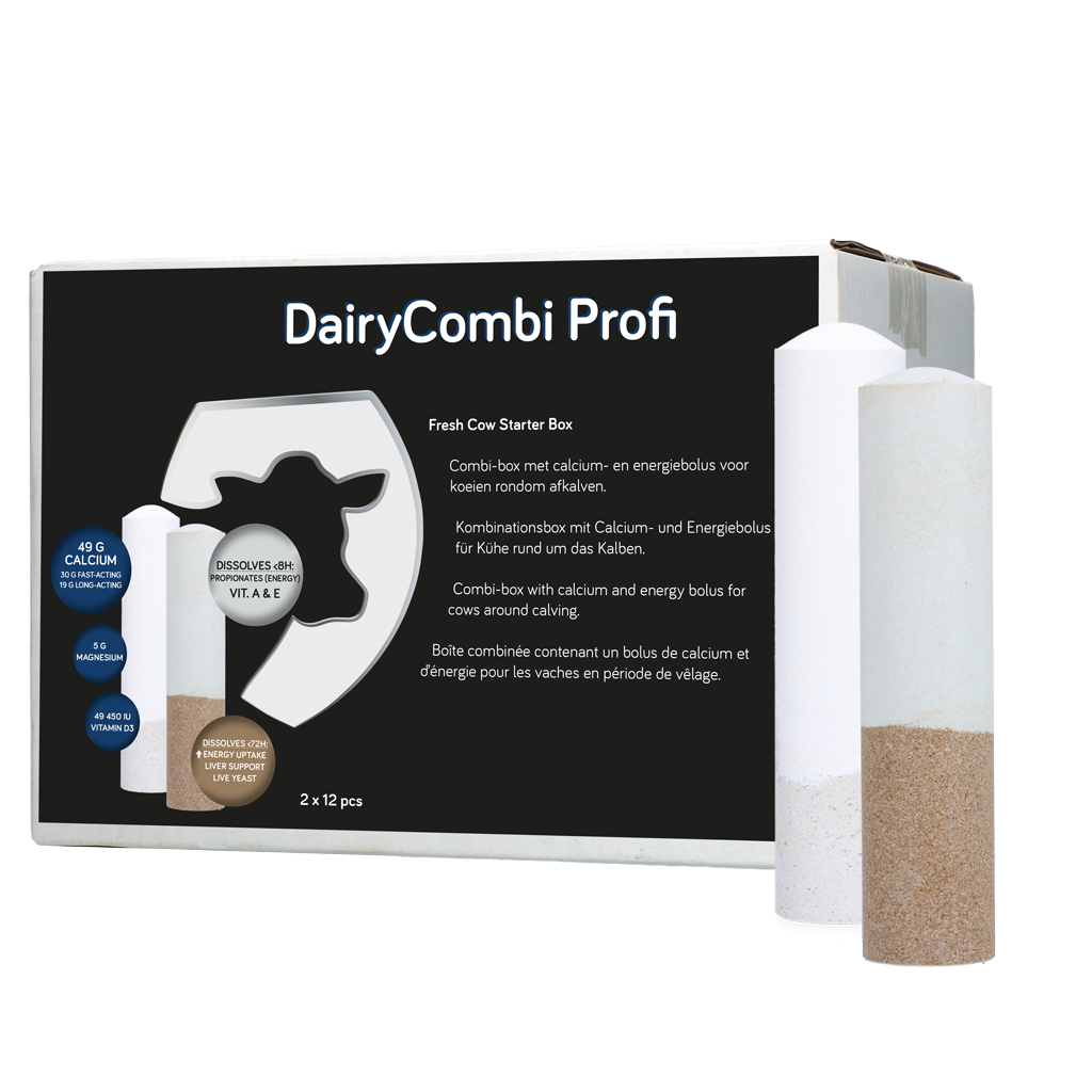 DairyCombi Profi Bolus 2 x 12 stuks