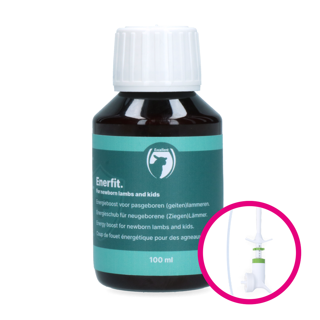 Excellent Enerfit lam/geit