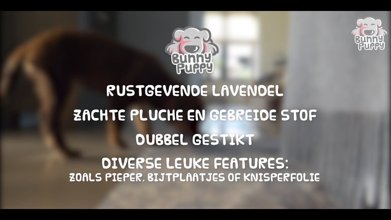 Alternative view of Bunny Puppy Crunchy Chew